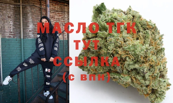 твердый Дмитриев