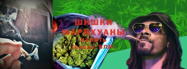 твердый Дмитриев