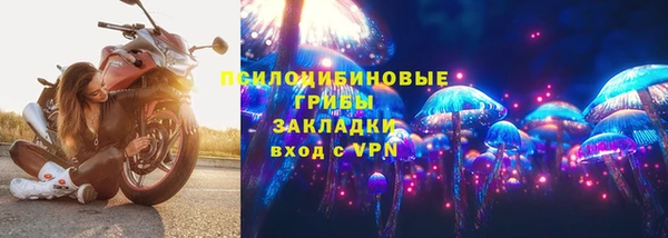 твердый Дмитриев