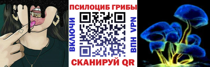 маркетплейс официальный сайт  Серпухов  Псилоцибиновые грибы мухоморы 